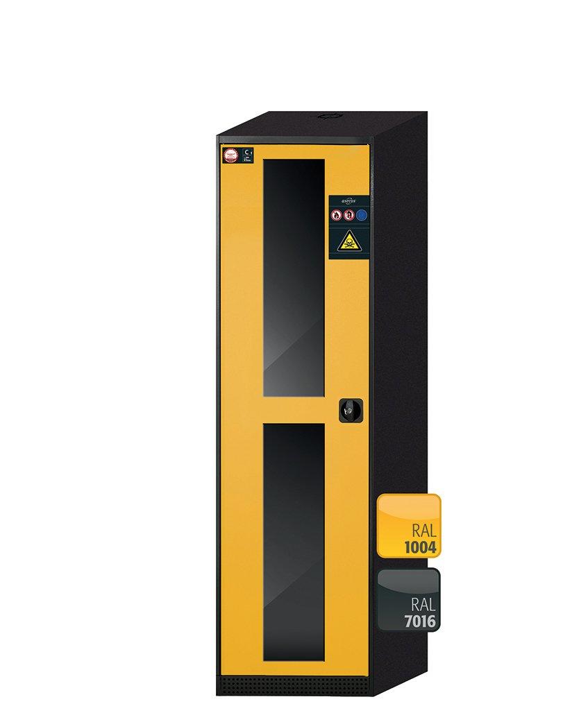 Шкаф для хранения не горючих и токсичных химических веществ ASECOS BRA 55.50.200 CS